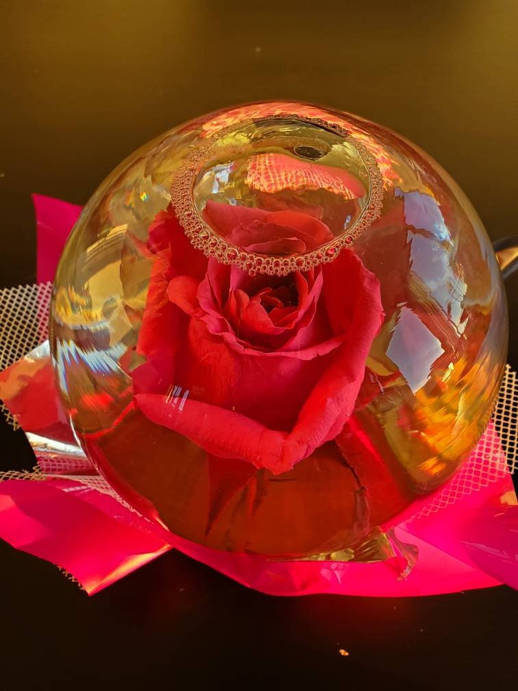 Forever Rose in Water Globe Water Rose Globe Etsy