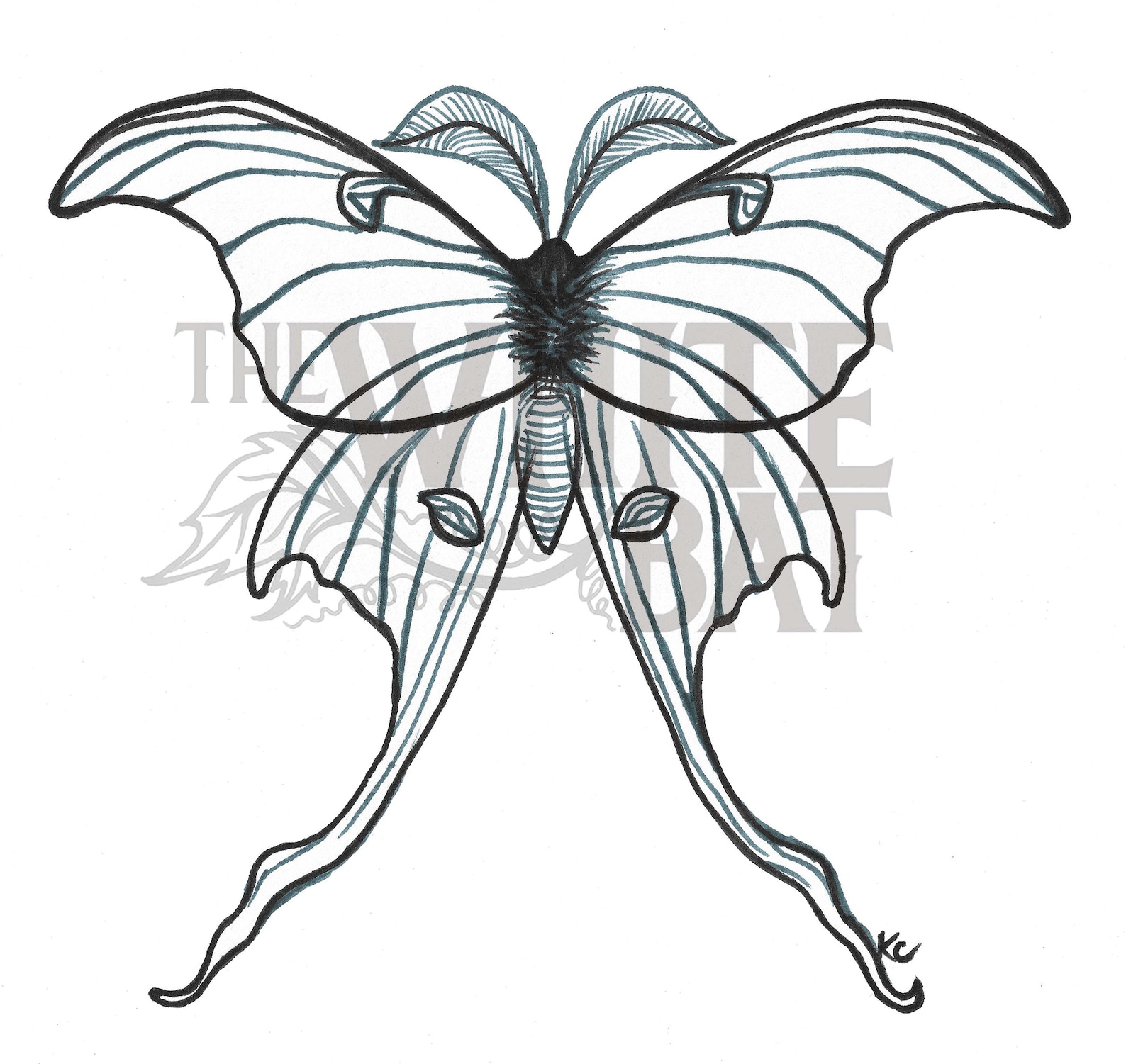 Black and White Luna Moth Digital Art Downloadable Image | Etsy