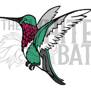 Op de afbeelding: Gedetailleerde illustratie van een kolibrie in vlucht, met een groene body, een magenta keel en grijze en witte vleugels. De vogel zit op een tak, met de tekst "THE WHITE BAT" op de achtergrond.