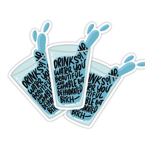 Drink Some Water You Beautiful and Capable but Dehydrated Bitch Vinyl Sticker - Laptop Stickers - Vinyl Sticker - Funny Stickers