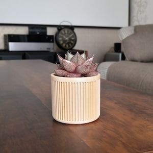 Best for modern indoor planter, wood planter, succulent and cacti