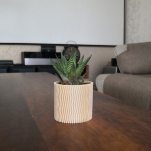 Am besten für moderne Indoor-Pflanzer, Holzpflanzer, Sukkulenten und Kakteen