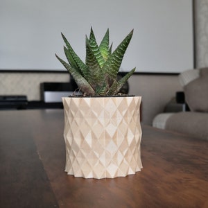 Am besten für moderne Indoor-Pflanzer, Holzpflanzer, Sukkulenten und Kakteen