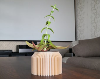 May include: A light-colored, ribbed planter holding a green and red succulent plant. The planter sits on a dark brown wooden coffee table with black metal legs. A white projection screen is in the background.