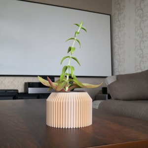 Am besten für moderne Indoor-Pflanzer, Holzpflanzer, Sukkulenten und Kakteen