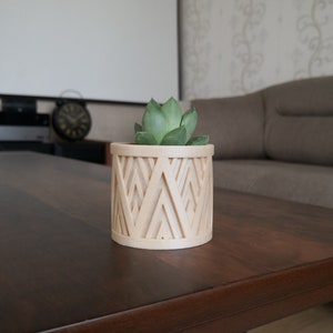 Am besten für moderne Indoor-Pflanzer, Holzpflanzer, Sukkulenten und Kakteen