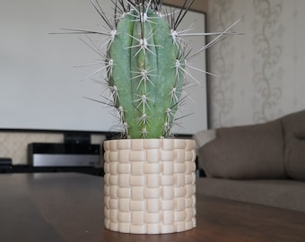 Best for modern indoor planter, wood planter, succulent and cacti