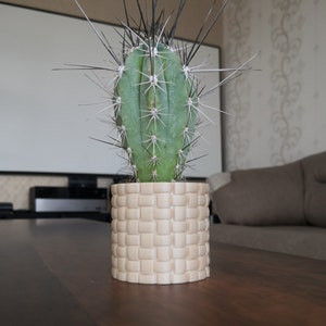 Am besten für moderne Indoor-Pflanzer, Holzpflanzer, Sukkulenten und Kakteen