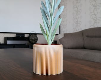 May include: A light blue succulent plant in a beige, ribbed cylindrical planter. The plant has long, slender leaves. The planter sits on a dark brown wooden table. The background includes a white screen and a sofa.