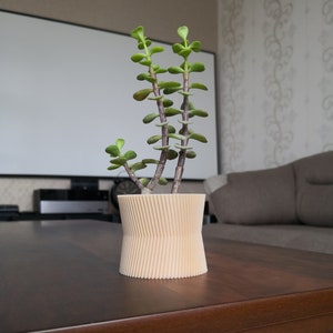Am besten für moderne Indoor-Pflanzer, Holzpflanzer, Sukkulenten und Kakteen