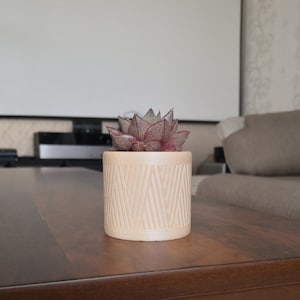Am besten für moderne Indoor-Pflanzer, Holzpflanzer, Sukkulenten und Kakteen