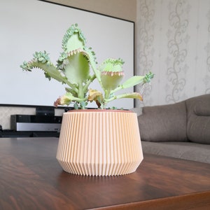 Am besten für moderne Indoor-Pflanzer, Holzpflanzer, Sukkulenten und Kakteen
