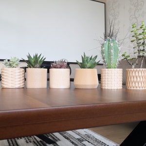 Set von 4 kleinen Holzpflanzer, am besten für Saft und Kaktus
