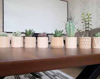 Kleines Pflanzgefäß Set, Moderne Sukkulenten & Kaktus Töpfe aus Holz