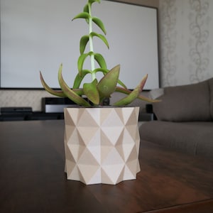 Am besten für moderne Indoor-Pflanzer, Holzpflanzer, Sukkulenten und Kakteen