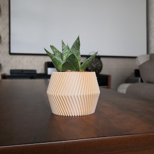 Am besten für moderne Indoor-Pflanzer, Holzpflanzer, Sukkulenten und Kakteen