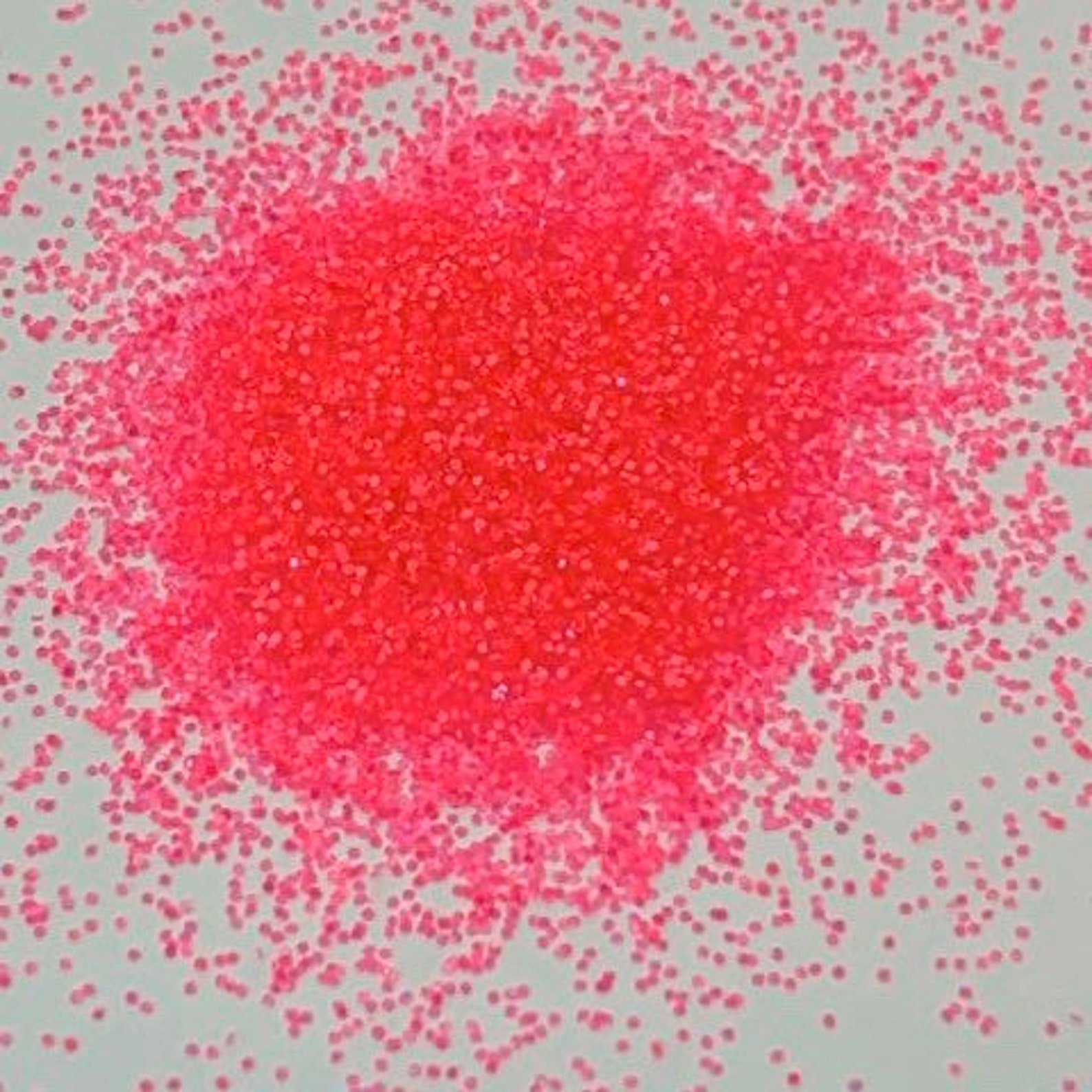 Hot Pink Glitter Neon Hot Pink Glitter Fine Neon Glitter High Etsy