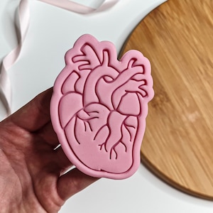 May include: Pink plastic heart-shaped cookie cutter with detailed anatomical features.