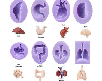 Human Internal Organs Fondant Mold,liver,stomach,heart,brain,intestine,kidney,lung Cake Decorating Tools Chocolate Mold Cake Fondant Mold