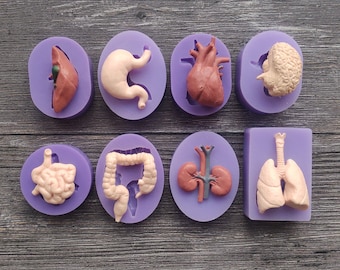 Ship From US 3D Human Internal Organs Silicone Mold 8 Sections Liver/Stomach/Heart/Brain/Large and Small Intestine/Kidney/Lung Resin Molds