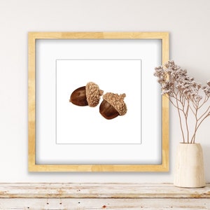 Gamble Acorn Giclee Watercolor Art Print