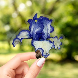 Clear Vinyl Bearded Iris Sticker Decal