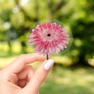 Clear Vinyl Gerber Daisy Sticker