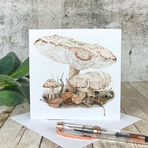 Wenskaart Agrocybe Mushroom Fungi