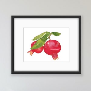 Pomegranate Painting, Watercolor Pomegranate, Botanical Watercolor, Watercolor Fruit, Botanical Wall Print, Botanical Wall Decor, Wall Decor