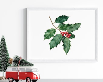 Impresión artística de acuarela de acebo navideño: Ilustración botánica