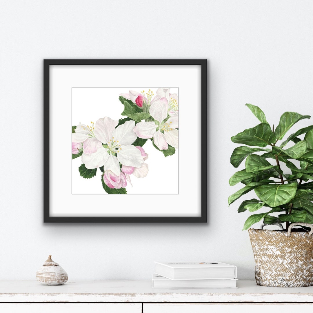 Apple Blossom Watercolor Print: Modern Botanical Giclee Art - Etsy