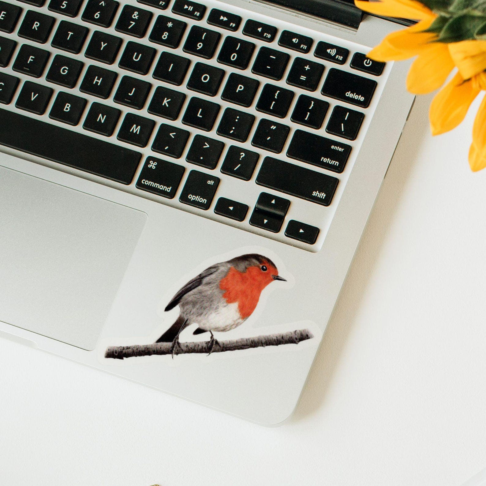 Watercolor European Robin Sticker: Waterproof Bird Decal - Etsy