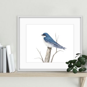 Blue Swallow Giclee Watercolor Art Print