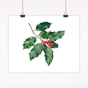 Christmas Holly Watercolor Fine Art Print: Botanical Illustration