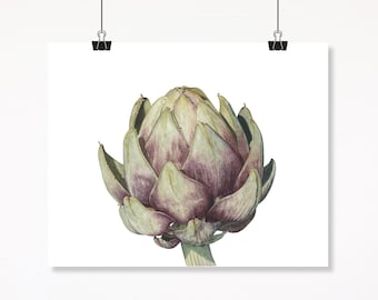 Artisjok aquarel botanische fine-art print, modern boerderijdecor, rustiek huisdecor