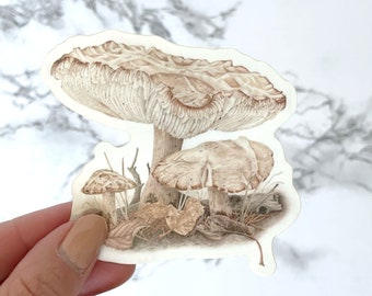 Vinyl Agrocybe Mushroom Decal