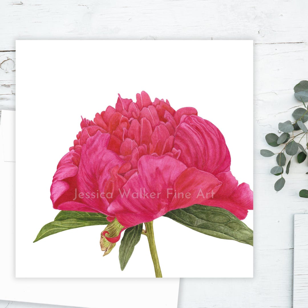 Pink Peony Watercolor Greeting Card: Floral Note Card - Etsy