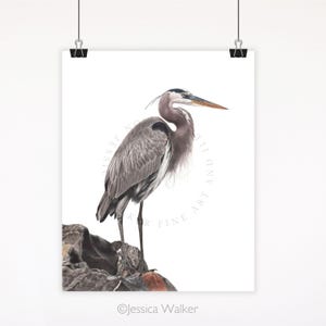 Great Blue Heron Art Print – Bird Wall Art, Coastal Wildlife Decor, Nature-Inspired Home Decor, Heron Illustration, Bird Lover Gift
