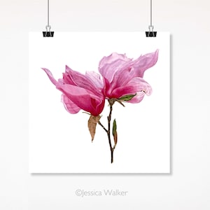 Galaxy Magnolia Blossom Watercolor Fine Art Print