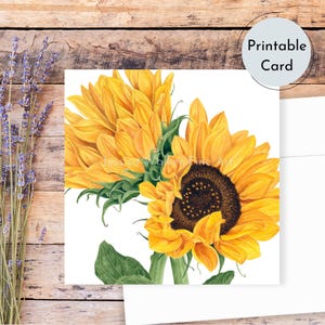 Carte de voeux imprimable aquarelle tournesol, oeuvre d'art originale, floral en téléchargement numérique, carte téléchargeable, carte de correspondance botanique, cartes tournesol