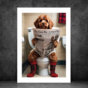 May include: A brown and white dog wearing red and black plaid socks sits on a white toilet and reads a newspaper titled "Die Ennis Met" and "In aller Miert".