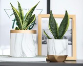 Ceramic Planter Pots Indoor - 6 inch Modern Large Cylinder Planter 4.8 inch Medium Pot, Marble Pattern with Golden Detailing Containers