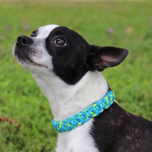 Custom color paracord dog collar, weaved dog collar, paracord rope dog collar, cute dog collar, male and female dog collar,strong collar pet