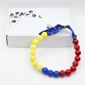 May include: A vibrant dog collar with a blue leather strap and a silver clasp. The collar has a gradient of yellow, blue, and red beads. A white box with a paw print ribbon is in the background.