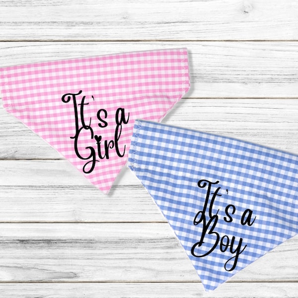 Pregnancy announcement dog bandana, it's a boy, it's a girl, gender reveal dog bandana over the collar, big brother, big sister baby shower