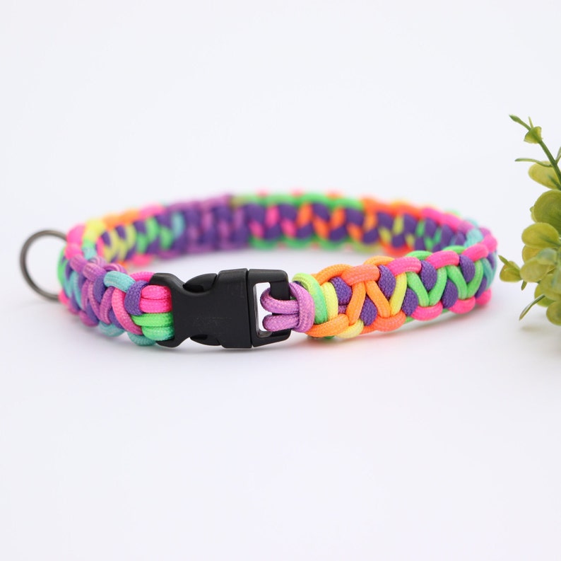 May include: A colorful braided dog collar with a black plastic buckle. The collar is made of multiple strands of neon pink, green, orange, and purple paracord.