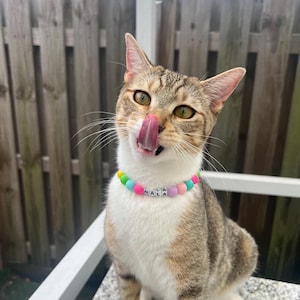 Custom beaded cat name collar, fancy designer kitty necklace, waterproof cat collar,girly cute pastel cat collar,party durable girl necklace