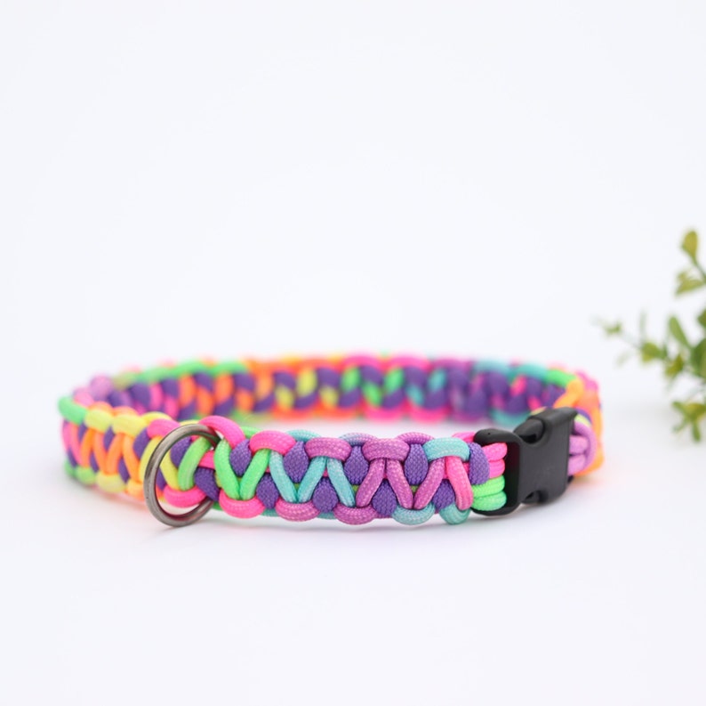May include: A colorful braided dog collar with a black plastic buckle and a silver metal ring. The collar is made of multiple strands of neon pink, green, yellow, and purple paracord.