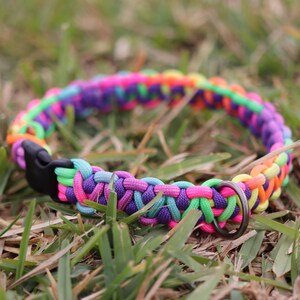 May include: A colorful paracord dog collar with a black buckle and a silver D-ring. The collar is made with multiple strands of paracord in rainbow colors, including pink, green, purple, and blue.