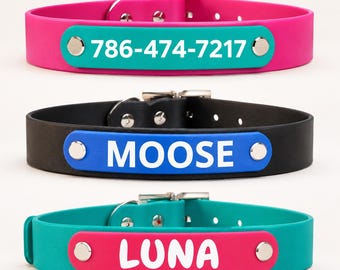 May include: Three pet collars with metal buckles and rectangular nameplates. The top collar is hot pink with a teal plate reading 786-474-7217. The middle is black with a blue plate reading MOOSE. The bottom is teal with a pink plate reading LUNA.